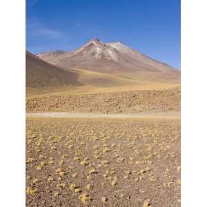 Chile, Norte Grande, Atacama Desert, Los Flamencos National Reserve 