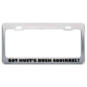  Got HuetS Bush Squirrel? Animals Pets Metal License Plate 
