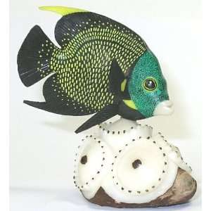  Angelfish on Coral Tagua Carving