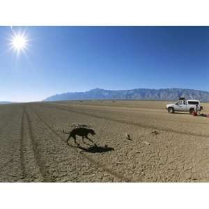  Dog and Truck under a Bright Sun on Laguna Diablo, a Dry 
