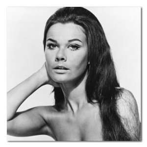 Imogen Hassall When Dinosaurs Ruled the Earth B&W Stretched Square 