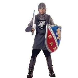 Lets Party By California Costumes Valiant Knight Child Costume / Gray 
