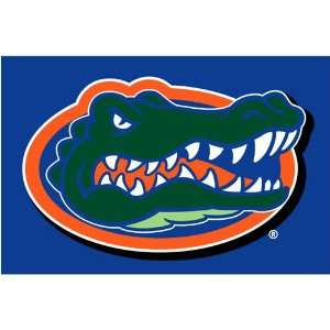 Florida Gators NCAA Tufted Rug (39 x59 ):  Sports 