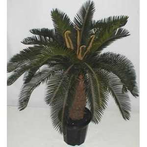 40 Deluxe Life Like Sago Palm
