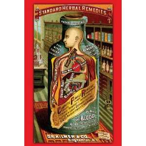  Dr. Kilmers Standard Herbal Remedies 28x42 Giclee on 