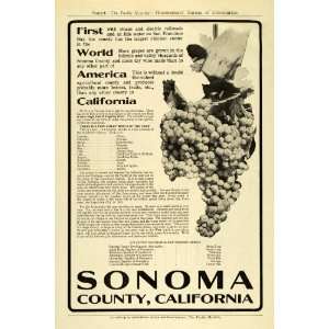  1912 Ad Sonoma County California Chamber Commerce Wine 