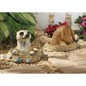  Kalahari Meerkat Statues Out of Hole and Into Hole Patio 