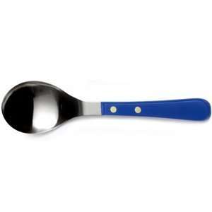  Provencal Blue Stainless Steel Serving Spoon: Home 