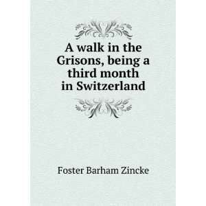   , being a third month in Switzerland Foster Barham Zincke Books