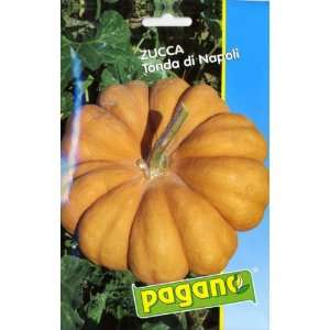  Pagano 4012 Pumpkin (Zucca) Tonda Di Napoli Seed Packet 