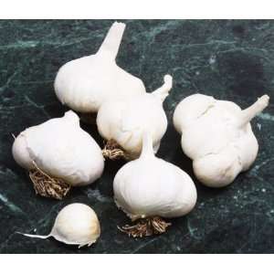 Garlic Bulbs   Red Toch Soft Neck: Grocery & Gourmet Food