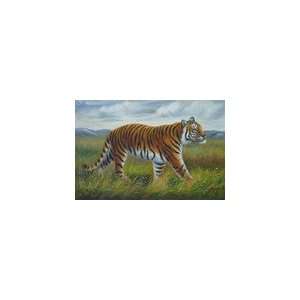  24x36 Wild Tiger Roaming Free   Professionally Stretched 
