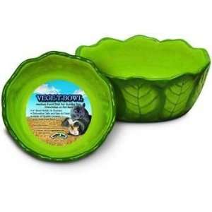    Super Pet Vege T bowl Green Ceramic Bowl   Medium: Pet Supplies