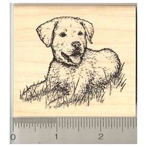   Golden Retriever Mix Breed Dog Rubber Stamp Arts, Crafts & Sewing