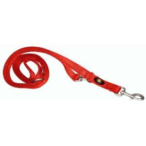   Inch Wide Double Thick Nylon European Lead, Brick Red: Pet Supplies