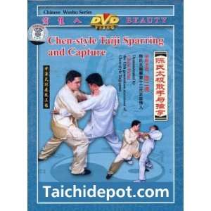  Tai Chi for Fighting Chen Style Tai Chi (Taiji) Sparring 