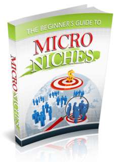 The Beginners Guide to Micro Niches PDF Ebook On CD  