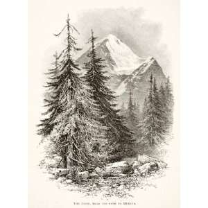  1891 Wood Engraving Switzerland Eiger Mountain Peak Summit 