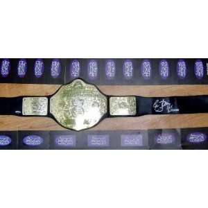  Ric Flair autographed Championship Belt Replica a little 