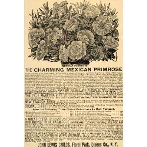  1892 Ad John Lewis Childs Mexican Primrose Flowers 