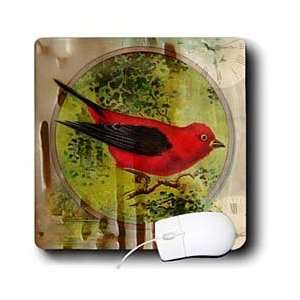 Cassie Peters Digital Art   Vintage Red Bird Mixed Media Digital Art 