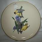 syracuse china american song birds pattern dinner plate common 