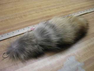 Tanned Coyote Tail Key Chain Trapping/ Fur Coats/  
