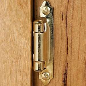   Surface Mount Hinges   Antique Brass Finish   pair: Home Improvement