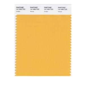  PANTONE SMART 14 1045X Color Swatch Card, Amber: Home 