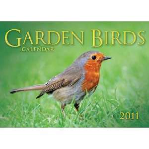  2011 Bird Calendars: Garden Birds   12 Month   21x29.7cm 