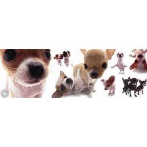  Yaneo Morita   Dogs   Chihuahua   Canvas: Home & Kitchen