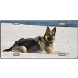 German Shepherd Dog Pet Novelty License Plates Full Color Photography 