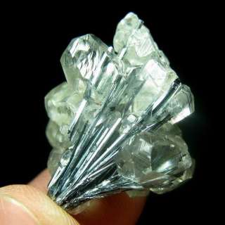 STIBNITE crystal enwraped by CALCITE,mineral C1250  