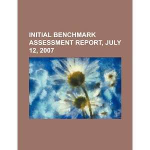  Initial benchmark assessment report, July 12, 2007 