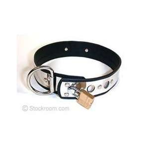  Locking Stainless Steel/Leather Locking Collar, XS: Health 