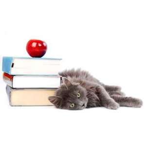  Long Haired Kitten Laying with Books.   Peel and Stick 
