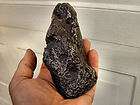 Campo Meteorite Individuals, Sikhote Alin Meteorites items in super 