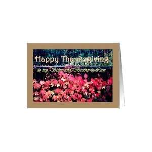 Sister & Brother in Law Happy Thanksgiving with Red Leaves Card