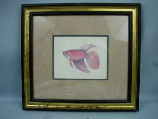 Pair Jean Cassady Framed Siamese Fish   Artist Proofs  