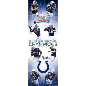  Indianapolis Colts  Super Bowl XLI Champs Sports Door 