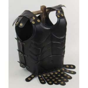 Leather Roman Chest Plate with Muscle Detailing and Brass 