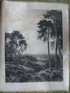Landscape and Tree Etching, Theophile Chauvel, Signed  