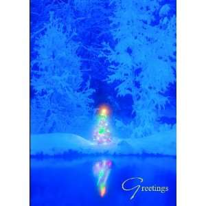  Snowy Forest Christmas Tree Holiday Cards: Home & Kitchen