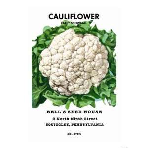  Cauliflower Early Snowball Giclee Poster Print, 24x32 