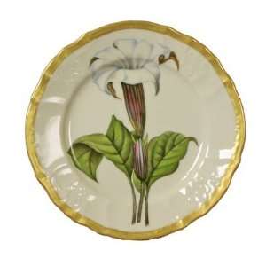  Anna Weatherley New Direction Salad Plate