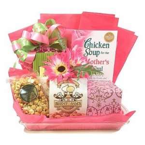 Chicken Soup For The Soul Mothers Gift Grocery & Gourmet Food