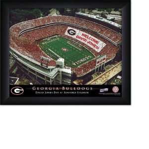  Georgia Personalized Stadium Print
