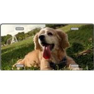Cocker Spaniel Dog Pet Novelty License Plates Full Color Photography 
