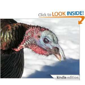 Turkey Hunting Tips From the Pros: Turkey Hunter:  Kindle 