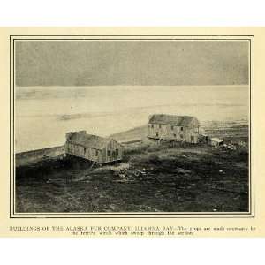  1903 Print Alaska Fur Company Iliamna Bay Peninsula 